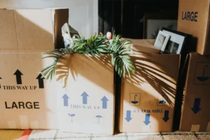 Moving boxes stacked in a living room for a move-in